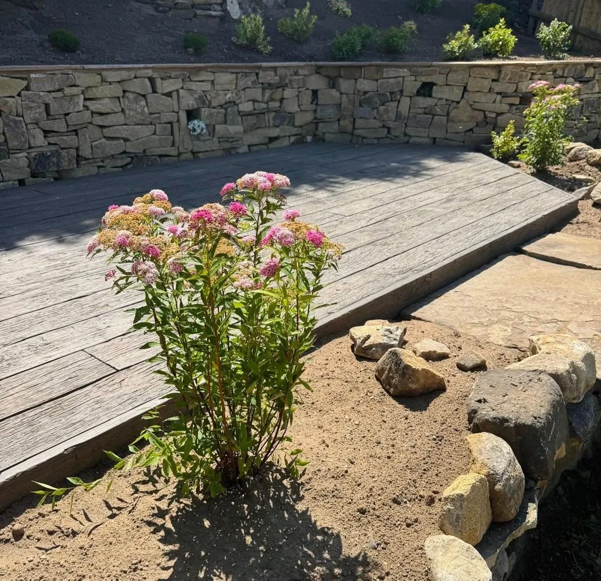 Grey composite deck beside a new dry stone retaining wall with flowering planting