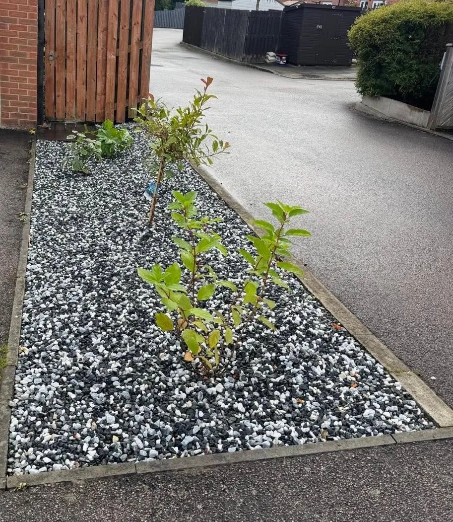 Front garden gravel bed with new planting beside a driveway