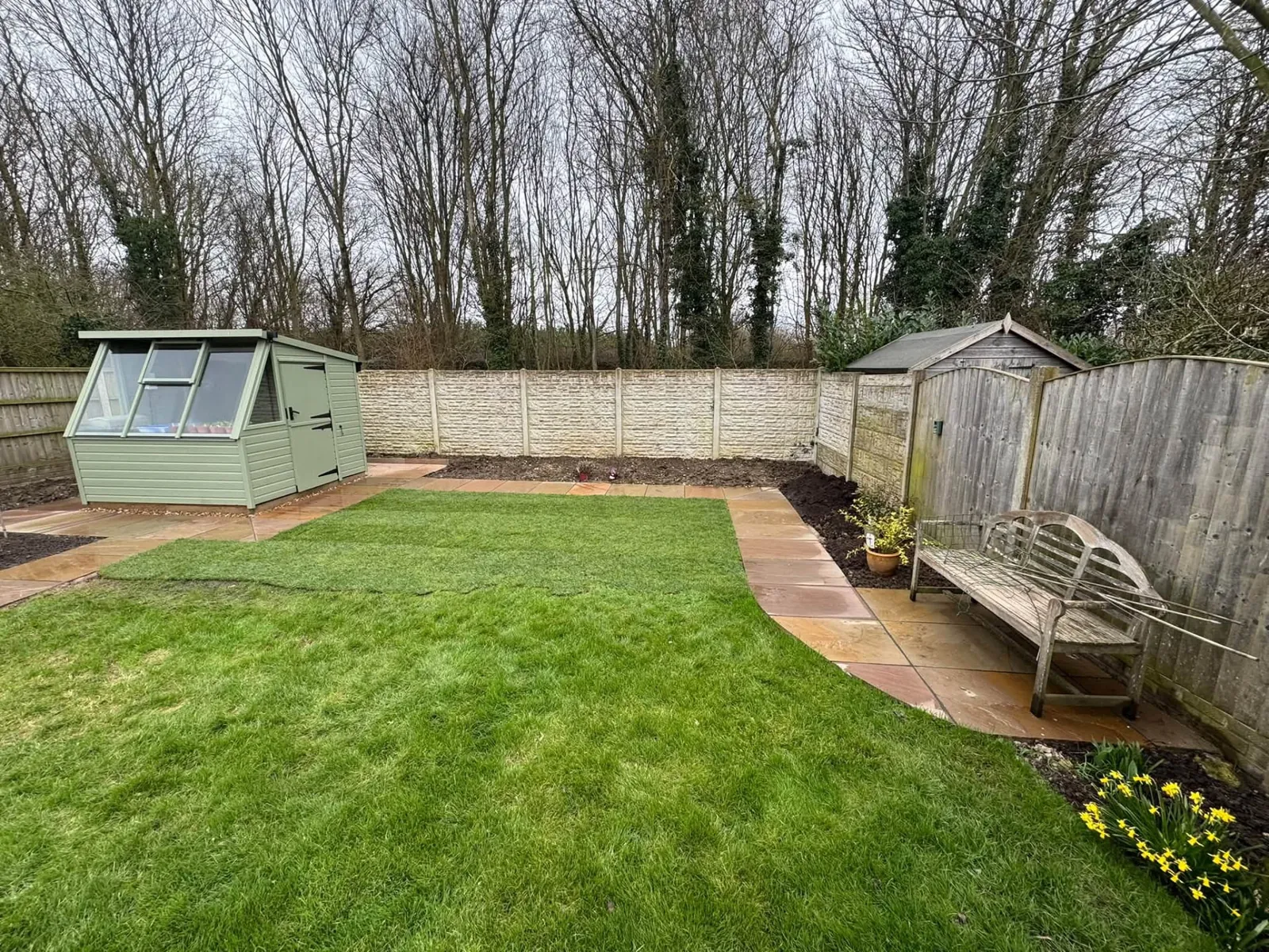 Natural lawn turfing bordered by paving