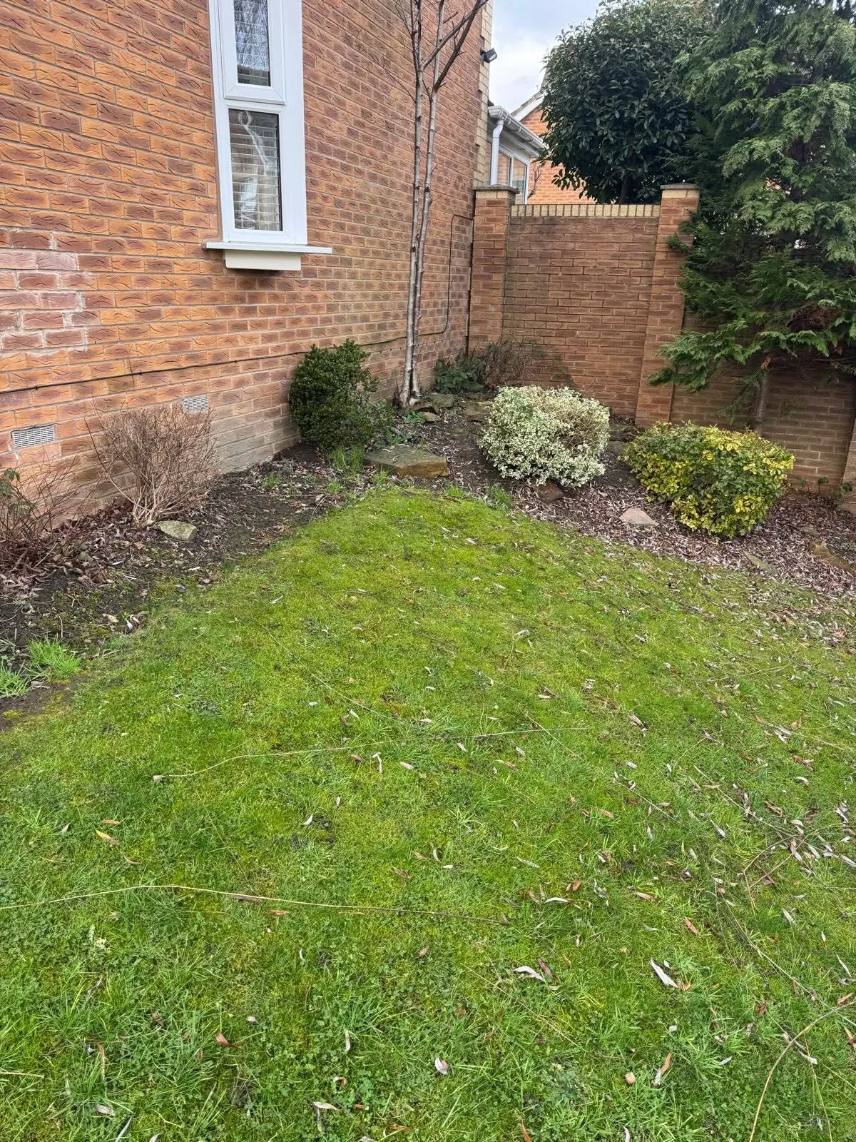 Before: Side garden lawn before a new patio path was laid