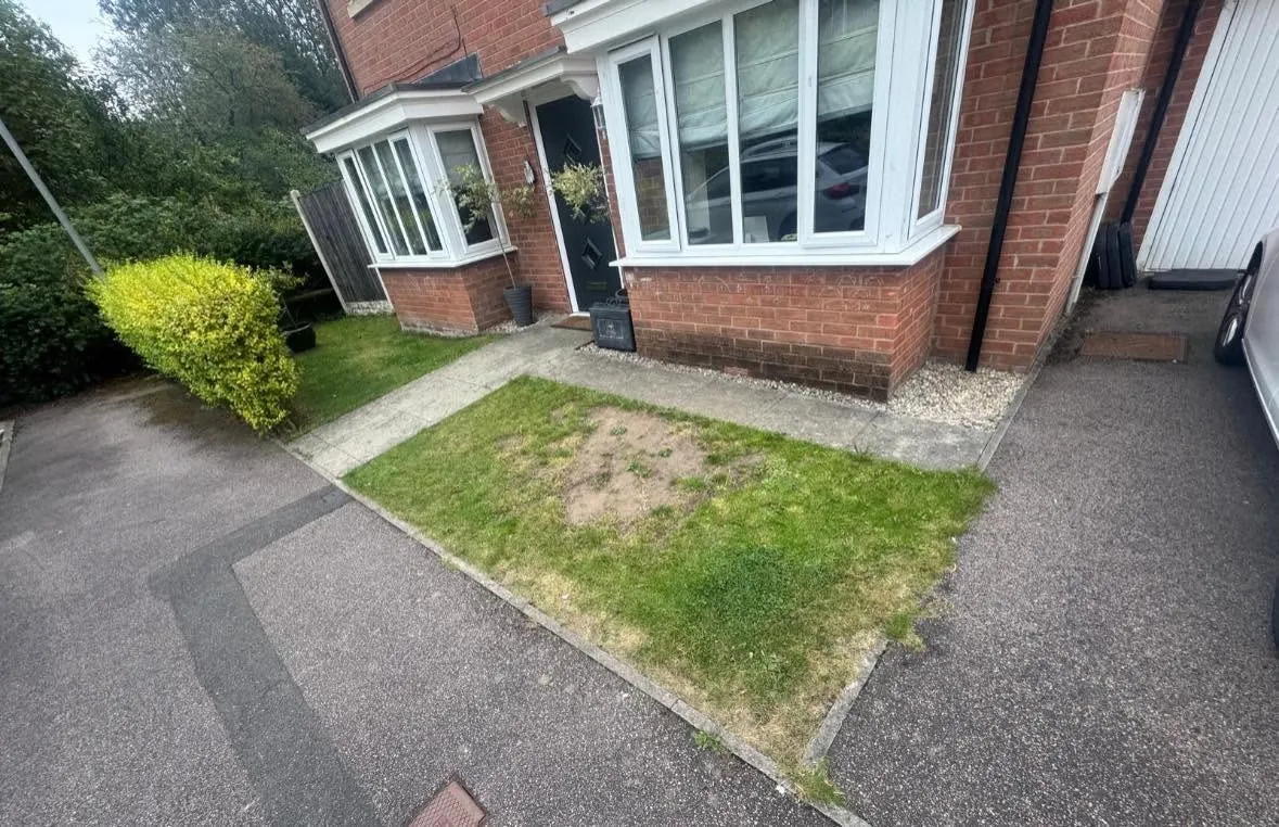 Front garden before its makeover, with a worn lawn